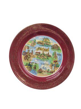 Vtg Illinois Souvenir Plate Collectible Red & Gold Trim 8" Homer Laughlin USA